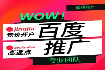 竞价排名失败案例：原因与教训